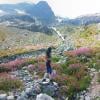 Iceberg Lake Trail