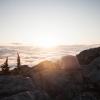 Mount Seymour Trail