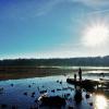 Burnaby Lake