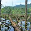 Killarney Lake