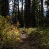 Frosty Mountain Loop