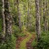 Sunshine Coast Trail