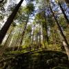 Buntzen Lake Trail