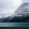 Berg Lake Train