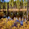 Lava Lake Trail