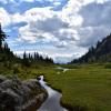 Brandywine Meadows