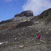 The Black Tusk Trail