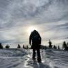 Hollyburn Peak Trail