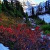 Chain lakes loop