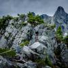 Howe Sound Crest Trail