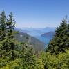 Campbell Lake Trail