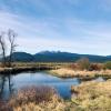 Pitt Meadows Dyke System