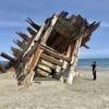 Pesuta shipwreck trail