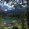 Lake o’hara trail