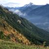 Elk Thurston Trail