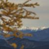 Frosty Mountain