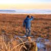 Boundary Bay Dyke trail