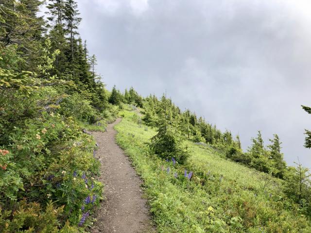 Elk Mountain Trail