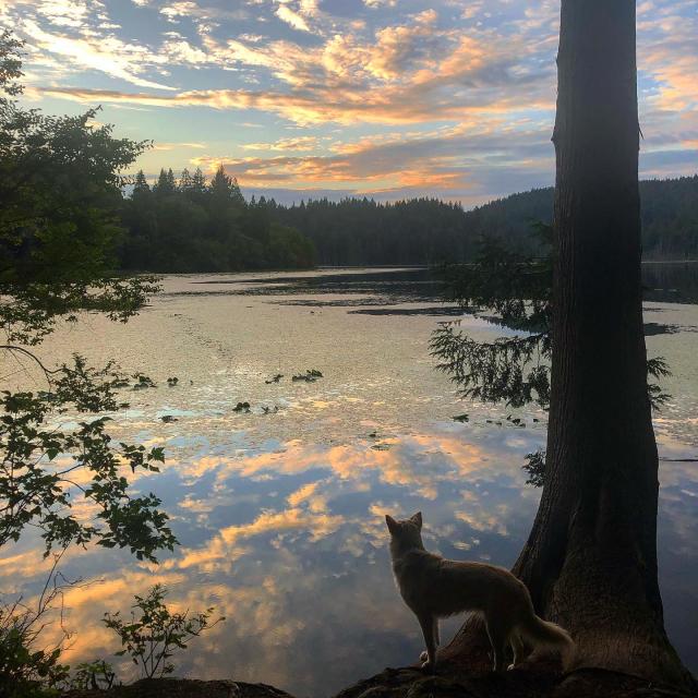 Killarney Lake