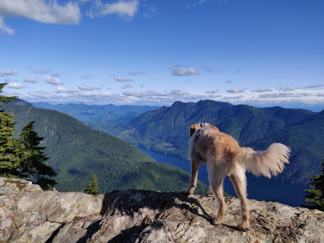 Evans Peak Trail