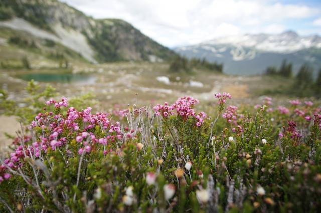 High Note Trail