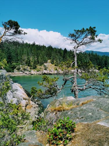 Lighthouse Park