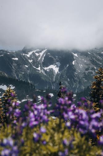 Brunswick Mountain Trail