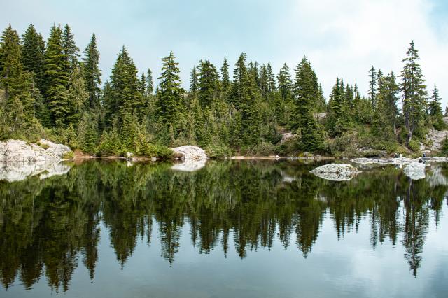 Mystery Lake Trail