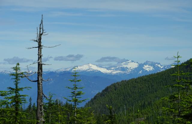 Black Mountain Loop