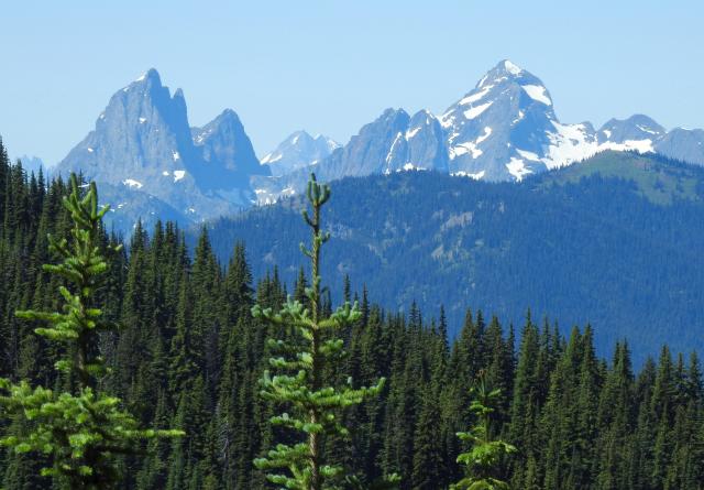 Heather Trail