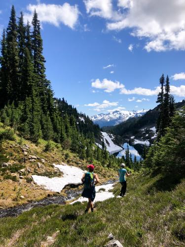 Backcountry Trail (no Name) Closest To Cirque Lake Trail