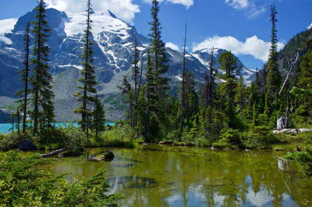 Joffre Lakes