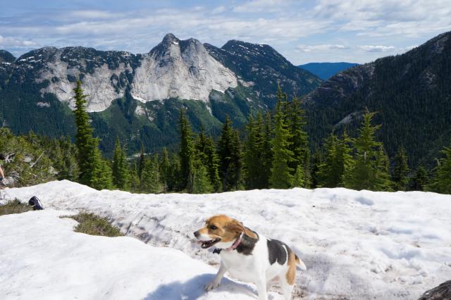 Needle Peak