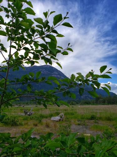 The Squamish Estuary Trail