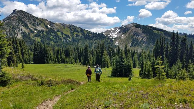 Heather Trail