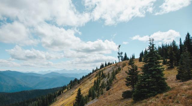 Alpine Meadows