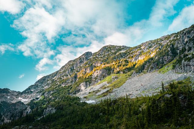 Brandywine Meadows