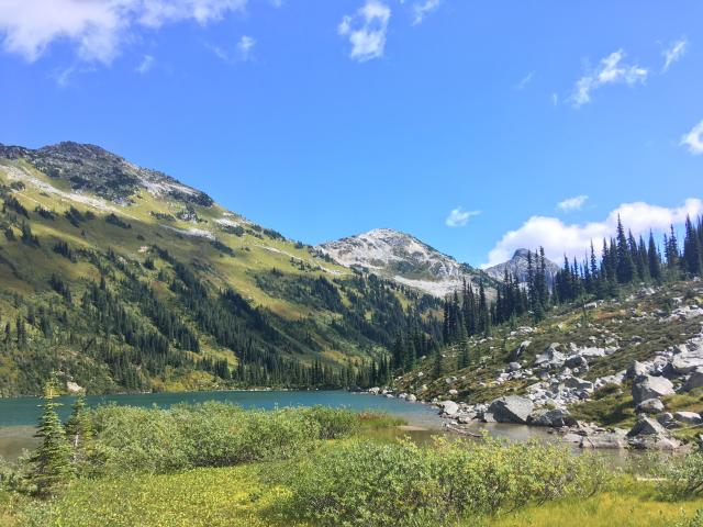 Marriot Basin Trail