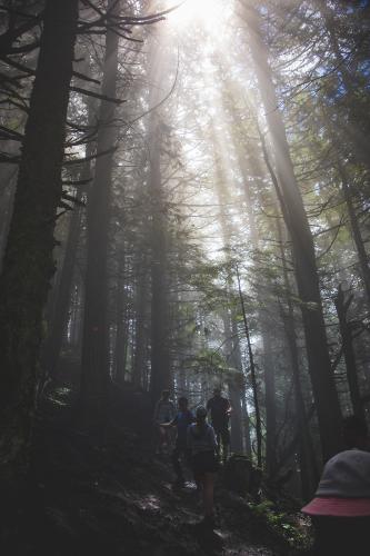 Elk Mountain Trail