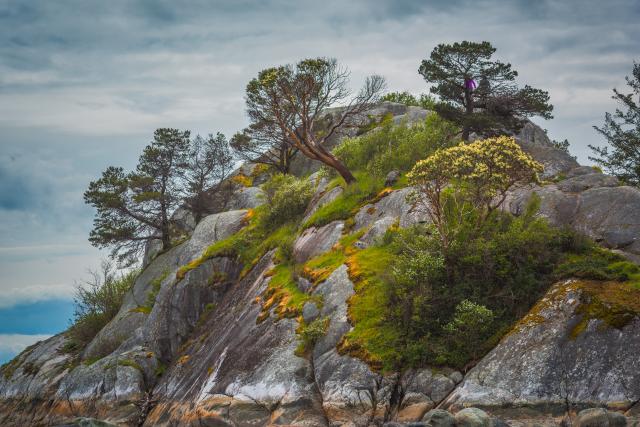 Whyte Cliff Park