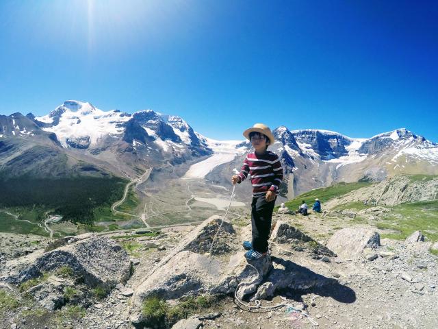 Wilcox Pass Trailhead