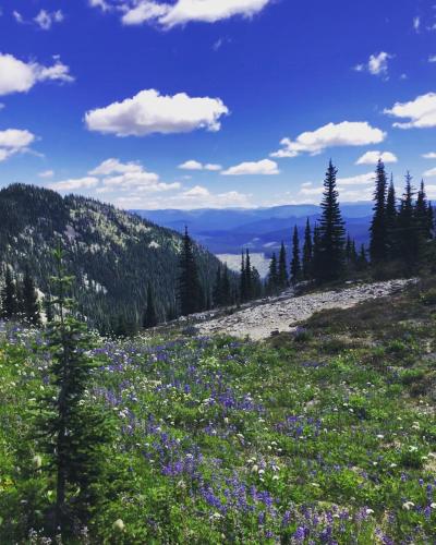 Heather Trail