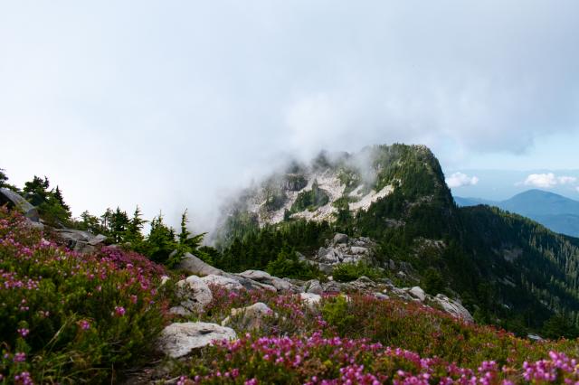 The Lions Binkert Trail