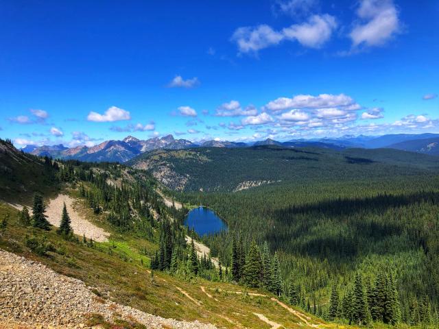 Heather Trail