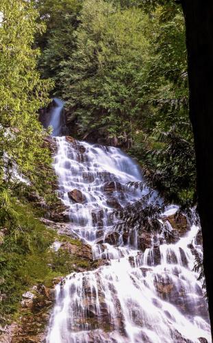 Bridal Falls Trail