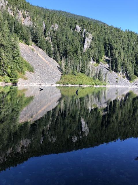 Flora Lake Loop (to Linderman Lake)