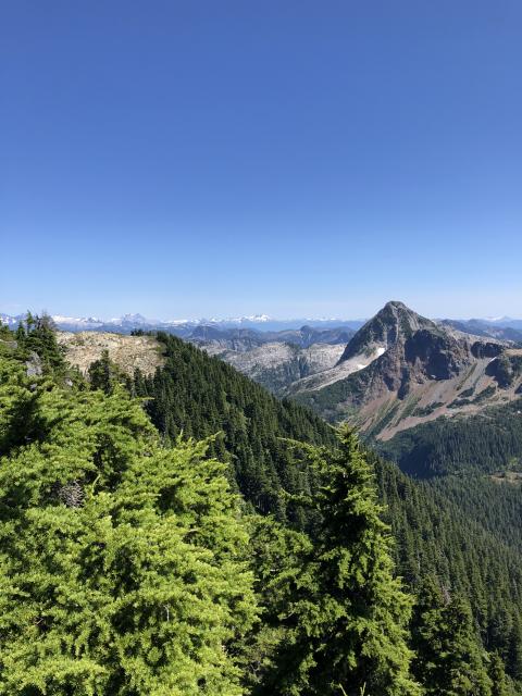 Mtn Steele Summit Trail