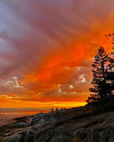 Shore Pine Trail