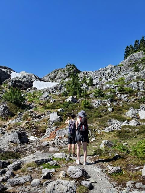 Mount Seymour Trail