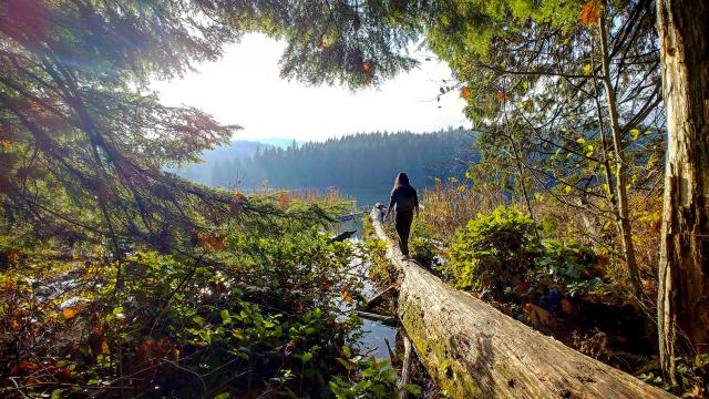 Sasamat Lake